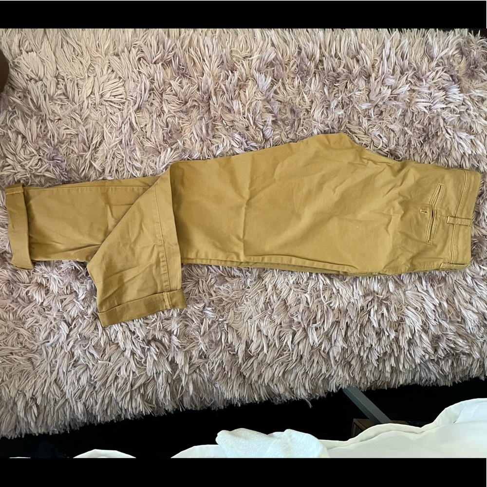 Dress pants
